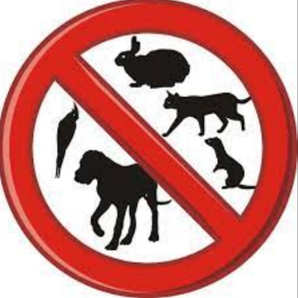 Purple Lingerie/Nightie Adults Only - Picture 7 of 7